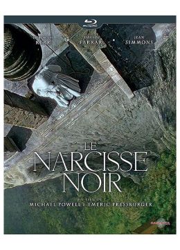 Le Narcisse noir