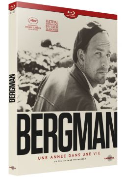 Bergman, une année dans une vie