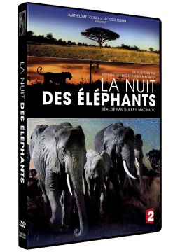 La Nuit des éléphants