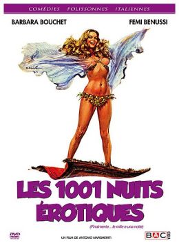 Les 1001 nuits érotiques