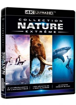 Collection Nature Extreme : À la découverte de l'Antarctique + Les géants de l'ère glacière + Le grand requin blanc