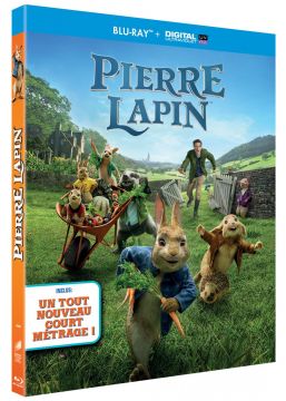 Pierre Lapin