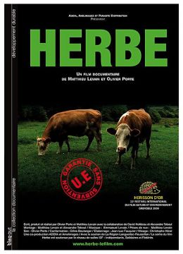 Herbe