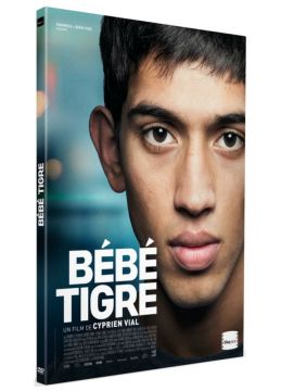 Bébé tigre