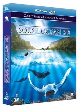 Sous l'océan 3D