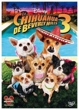 Le Chihuahua de Beverly Hills 3