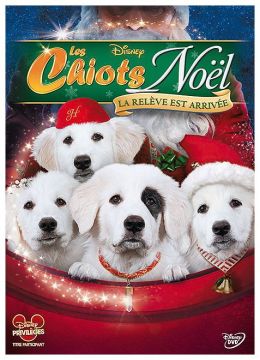 Les Chiots Noël, la relève est arrivée