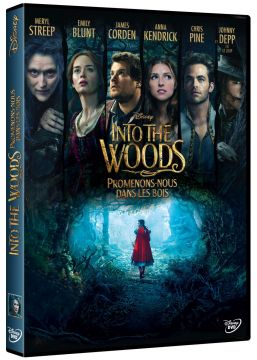 Into the Woods : Promenons-nous dans les bois