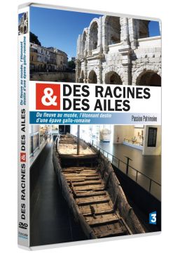 Des racines et des ailes - Passion Patrimoine - Du fleuve au musée, l'étonnant destin d'une épave gallo-romaine