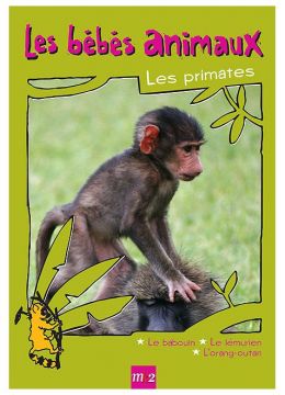 Les Bébés animaux - Les primates